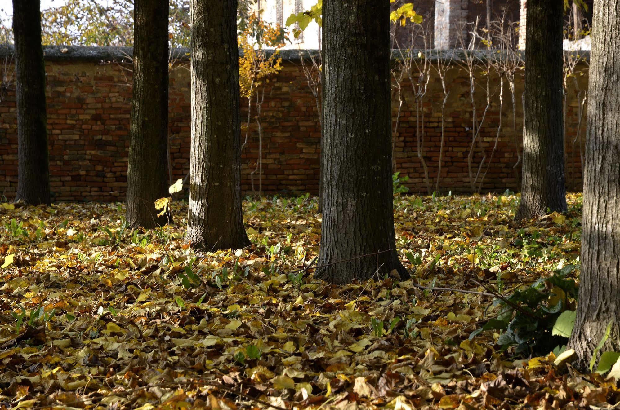 9 Muse Bed And Breakfast Canneto sull'Oglio Buitenkant foto