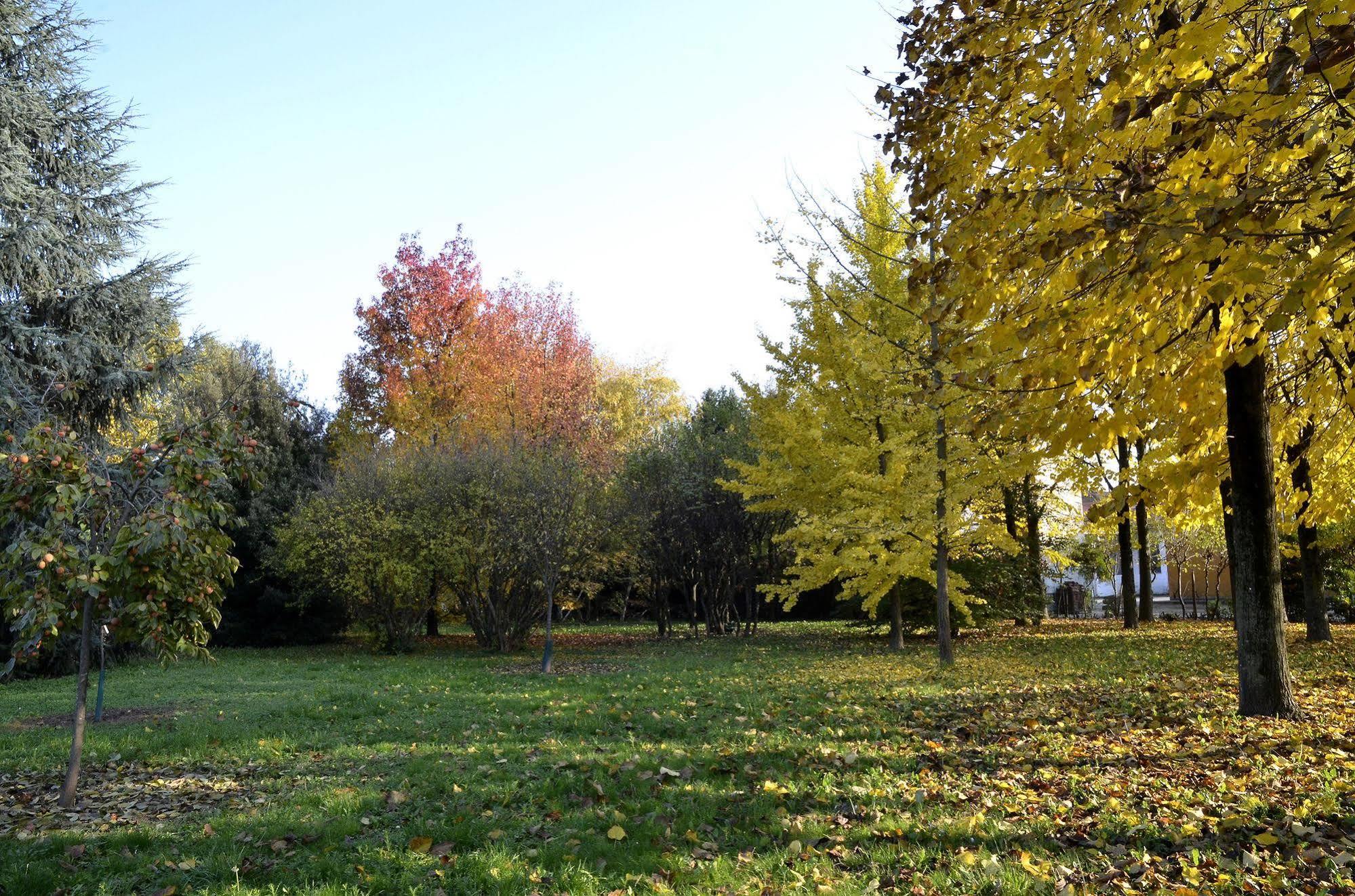9 Muse Bed And Breakfast Canneto sull'Oglio Buitenkant foto